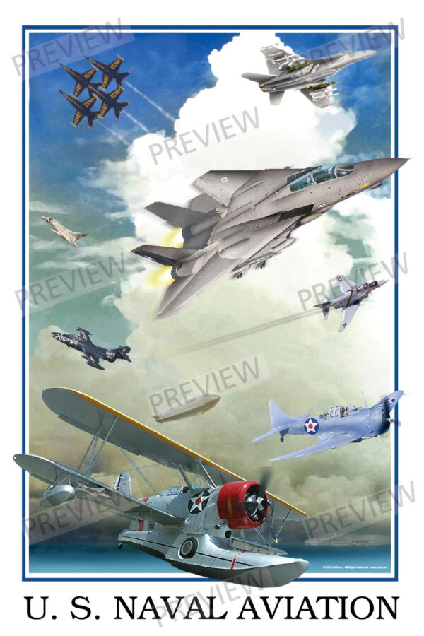 U.S. Naval Aviation