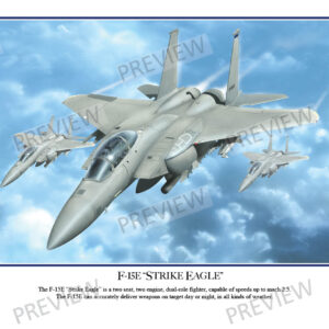 F-15E "Strike Eagle"