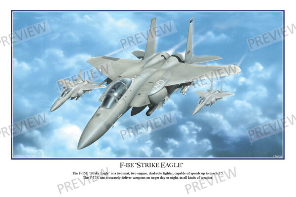 F-15E "Strike Eagle"