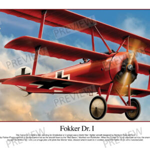 Fokker Dr. I