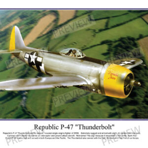 Republic P-47 "Thunderbolt"