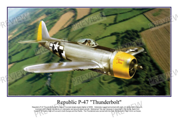 Republic P-47 "Thunderbolt"