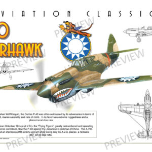 P-40 Warhawk - Aviation Classics