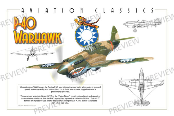 P-40 Warhawk - Aviation Classics