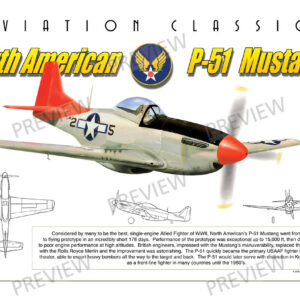 P-51 Mustang - Aviation Classics