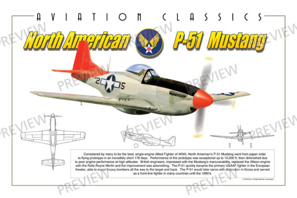 P-51 Mustang - Aviation Classics