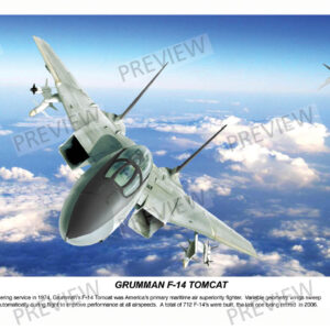 Grumman F-14 Tomcat