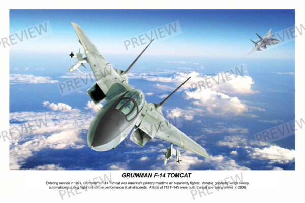 Grumman F-14 Tomcat