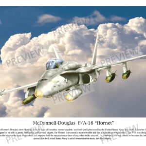 McDonnell-Douglas F/A-18 "Hornet"