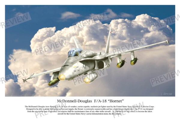 McDonnell-Douglas F/A-18 "Hornet"