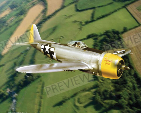 P-47 Thunderbolt
