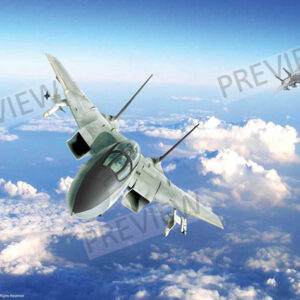 F-14 Tomcat