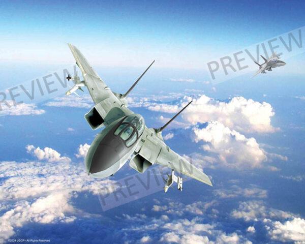 F-14 Tomcat
