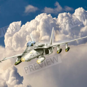 F/A 18 Hornet