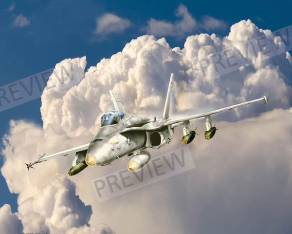 F/A 18 Hornet